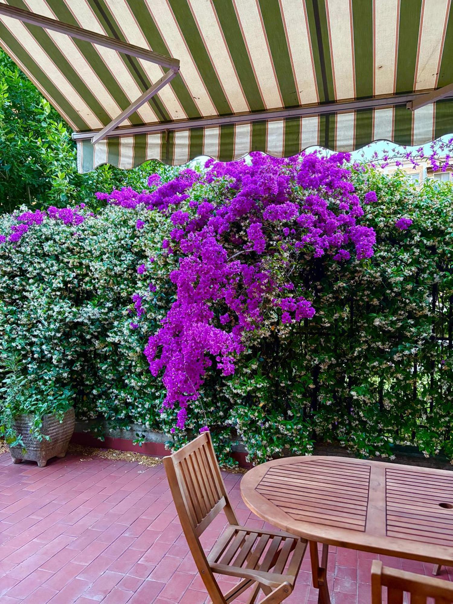 Lejlighed Casa Arianna Rom